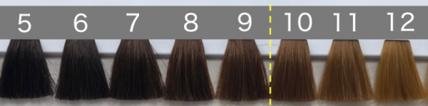 白髪染め後のシャンプーはいつからできる 美容師が解説 美容師監修 くせ毛ビューティー