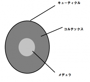 知れば納得する 剛毛の原因と対策について メンズ編 Me Ns エムイー エヌエス
