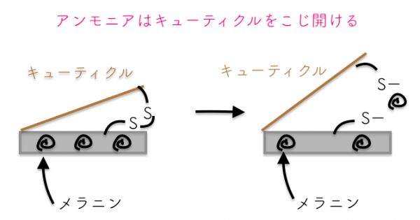 ブリーチは髪が痛む 頭皮がやばいって本当 専門家が解決策について